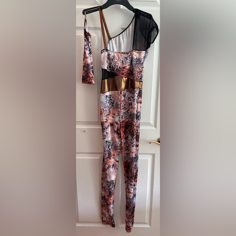 Dance Costume - Picture 2 of 2